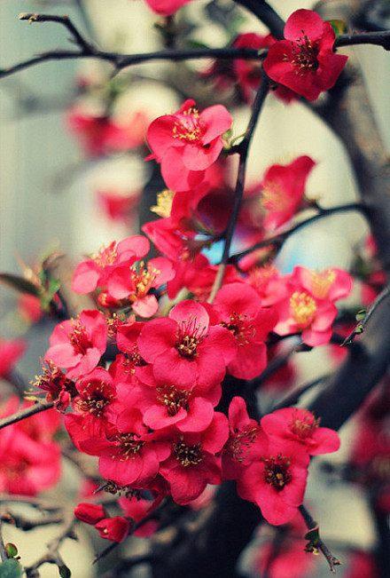 20�lqq���䂀�Ժ�������侫���������������Ҫ��